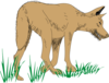 Hunting Brown Wolf Clip Art